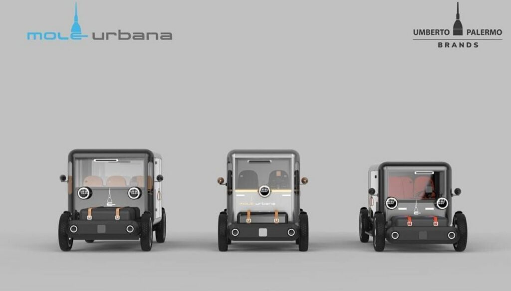 mole urbana