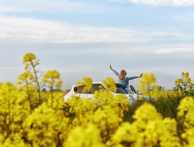 primavera